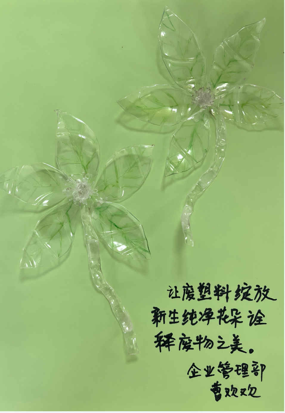 &#20896;&#20122;&#23448;&#26041;&#22312;&#32447;&#20837;&#21475;&#45;&#20896;&#20122;&#65288;&#20013;&#22269;&#65289;